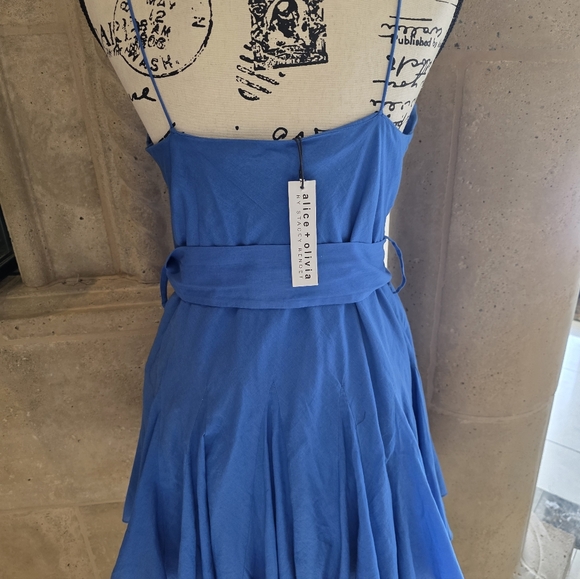 Alice + Olivia Vibrant Blue Mini Dress - Picture 7 of 10